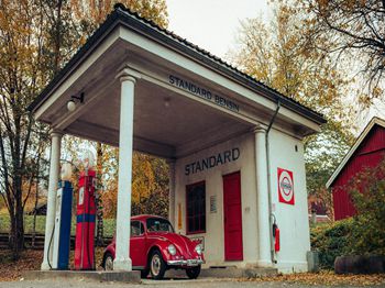 鱼丸加工制作技术_合肥水产养殖技术