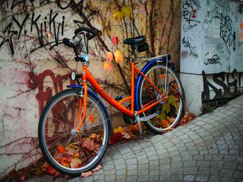 仔猪渗出性皮炎的治疗方法_合肥水产养殖技术