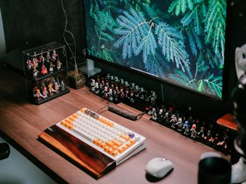 病猪圈必须要消毒_合肥水产养殖技术