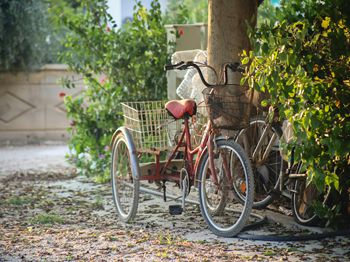 网箱养鱼常用西药_合肥水产养殖技术